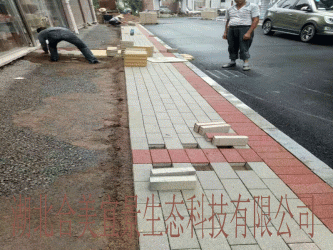 深圳南山區學府路人行道海綿